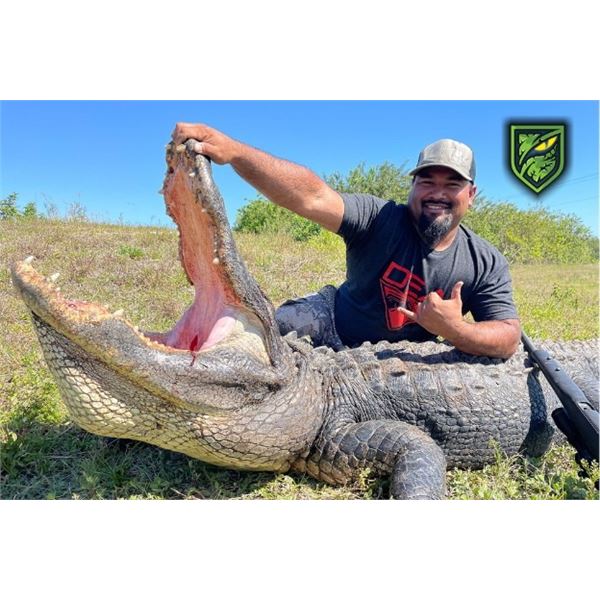 Florida – Trophy Alligator Hunt