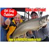 Image 2 : New York - Lake Ontario Fishing Trip for 4 with Lodging included