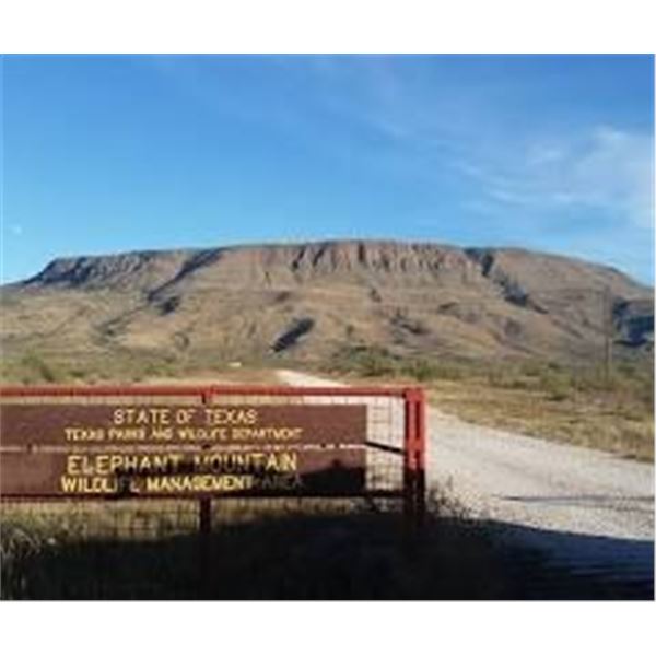 Texas – Bighorn Wild Sheep Photo Safari