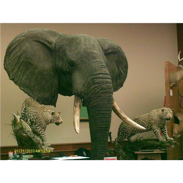 $1,000 Gift Certificate towards clearance/delivery of Int'l Game Trophy Shipments