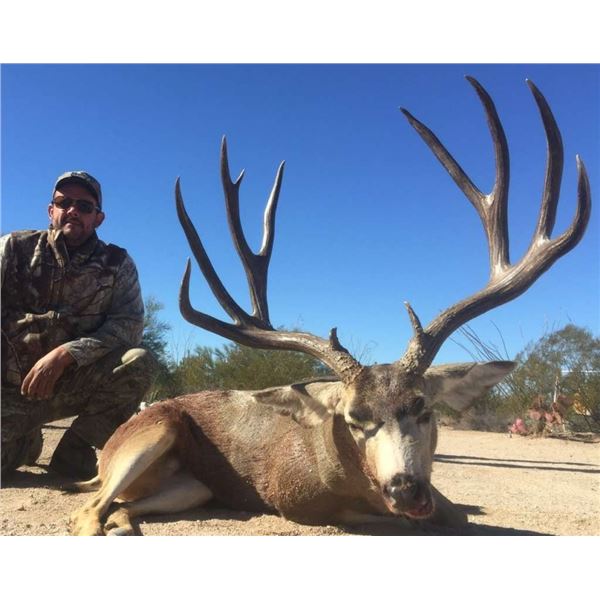 Mexico – Sonora Mule Deer & Coues Deer Combo