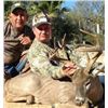 Image 2 : Mexico – Sonora Mule Deer & Coues Deer Combo