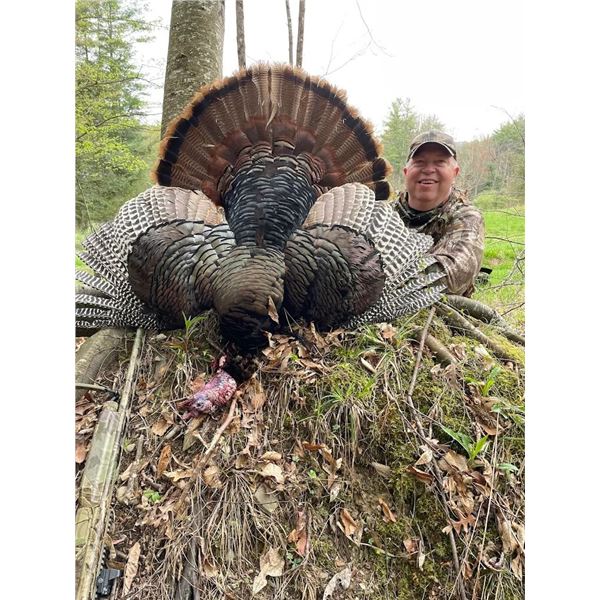 Pennsylvania - Parent / Youth Spring Turkey Hunt