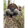 Image 1 : Pennsylvania - Parent / Youth Spring Turkey Hunt