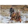 Image 1 : Idaho - Bighorn Sheep Capture Event for 2 people/2 days/3 nights