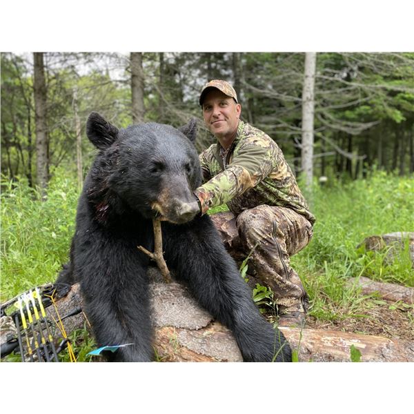 Canada - New Brunswick Black Bear Hunt for 2 hunters