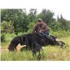 Image 2 : Canada - New Brunswick Black Bear Hunt for 2 hunters