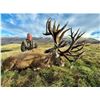 Image 1 : New Zealand – Red Stag to 500 inches