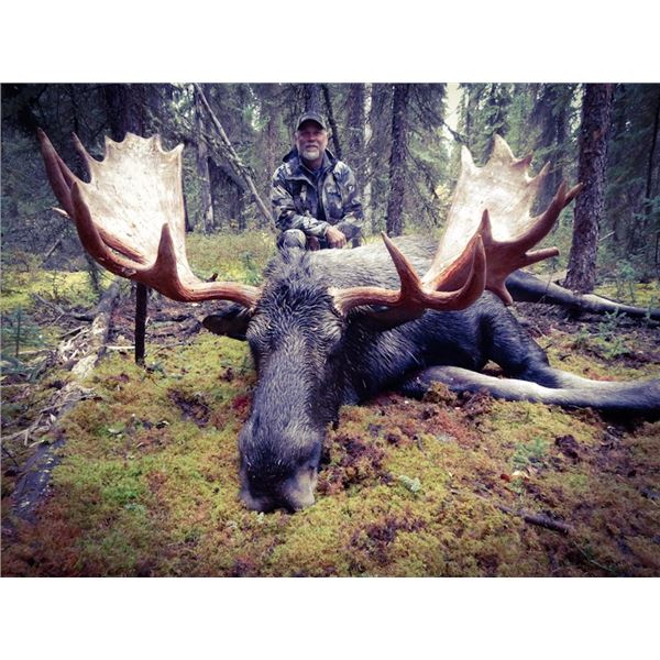 Yukon - Moose Hunt