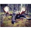 Image 1 : Yukon - Moose Hunt