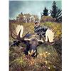 Image 2 : Yukon - Moose Hunt
