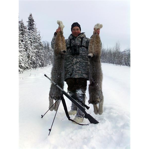 Alaska – Predator Adventure