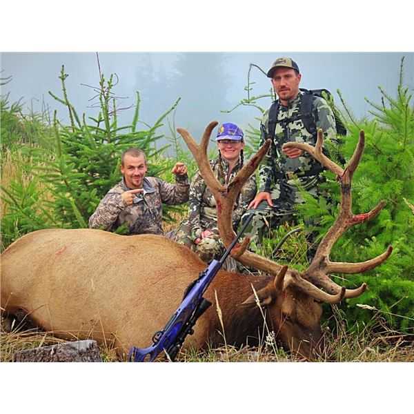 Oregon – Roosevelt Elk