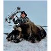 Image 1 : Canada - Nunavut Spring Barren Ground Muskox