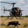 Image 2 : Texas - Helicopter Pig Hunt for 2-hours for 2 hunters.