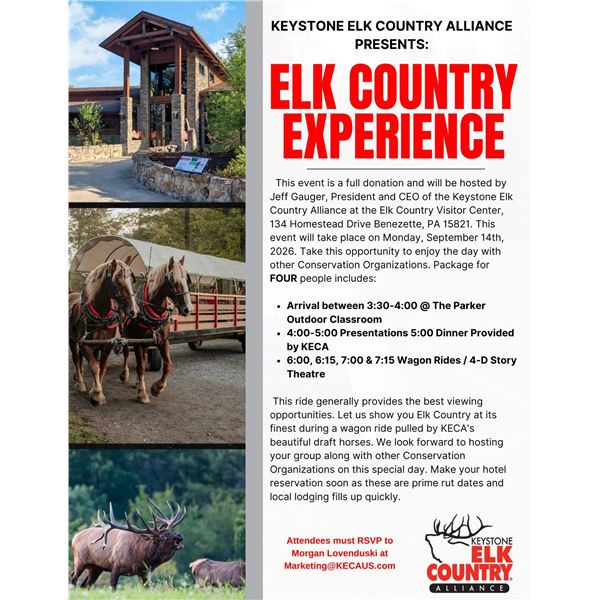 Pennsylvania - Elk Country Experience for 4 in Benezette, PA