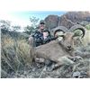 Image 3 : Texas – Aoudad Hunt for 2 ewes, predators, hogs, and 2 javelinas for 2 hunters