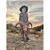 Image 4 : Texas – Aoudad Hunt for 2 ewes, predators, hogs, and 2 javelinas for 2 hunters