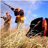 Image 2 : South Dakota - Pheasant Hunt for 4-Hunters