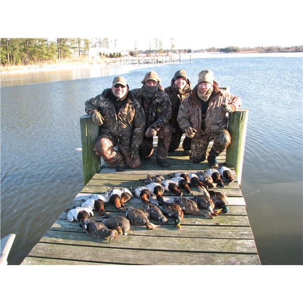 Maryland - Chesapeake Goose & Duck Hunting for 4 hunters for 2 days