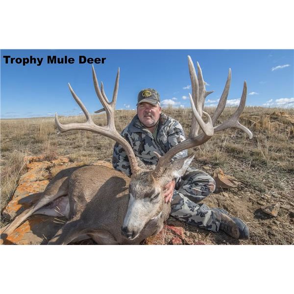 Wyoming – Mule Deer for 2027
