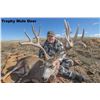 Image 1 : Wyoming – Mule Deer for 2027