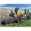 Image 1 : New Zealand – 2 Hunters each receive $2,500 credit towards a Red Stag 400”+