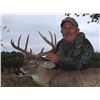 Image 3 : Texas – Whitetail Deer Hunt