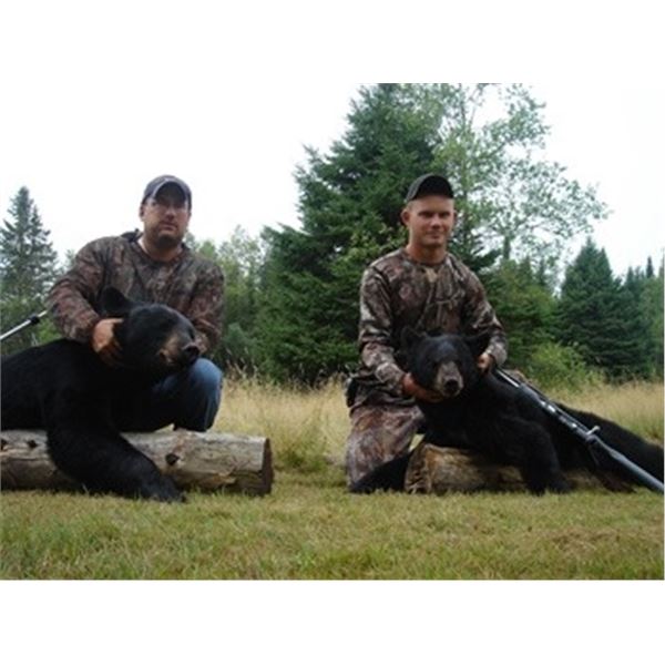 Maine – Black Bear Hunt