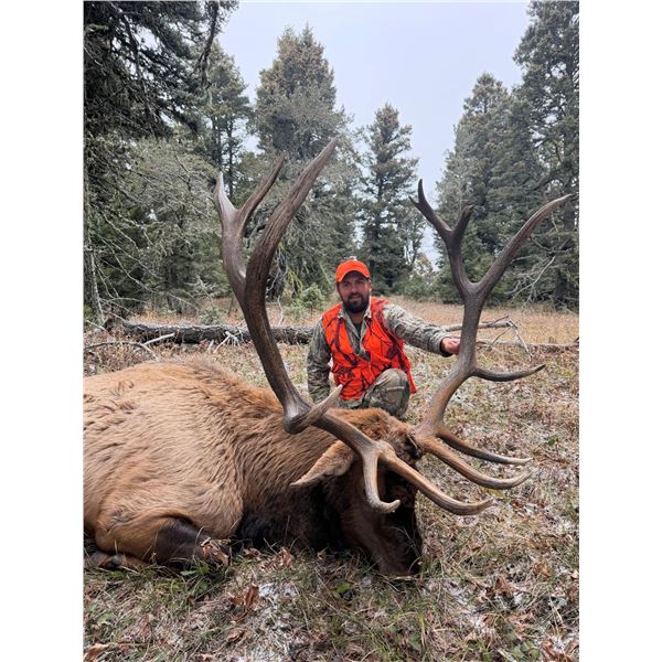 Montana – Backcountry Elk Hunt for 1 hunter