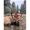 Image 1 : Montana – Backcountry Elk Hunt for 1 hunter