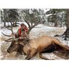 Image 2 : Montana – Backcountry Elk Hunt for 1 hunter