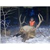 Image 4 : Montana – Backcountry Elk Hunt for 1 hunter