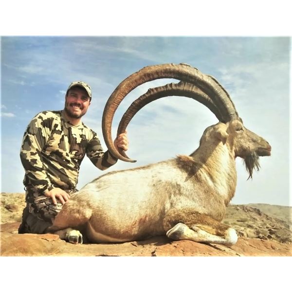 Pakistan - Sindh Ibex & Blanford Urial Combination Hunt