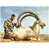 Image 1 : Pakistan - Sindh Ibex & Blanford Urial Combination Hunt