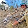 Image 2 : Mexico - Coues White-tailed Deer Hunt in Sonora
