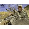 Image 5 : Mexico - Coues White-tailed Deer Hunt in Sonora