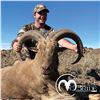 Image 2 : Texas - Aoudad Sheep Hunt for 1 hunter and 1 non-hunter