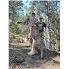 Image 1 : Utah – Mountain Lion Hunt with Hounds