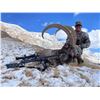 Image 2 : Kyrgyzstan – Mid-Asian Ibex hunt for one (1) hunter