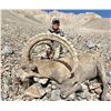 Image 3 : Kyrgyzstan – Mid-Asian Ibex hunt for one (1) hunter