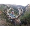 Image 4 : New Zealand - Red Stag up to 400 SCI