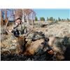 Image 1 : Idaho – Archery Elk Hunt for two (2) hunters (No on-line bidding)