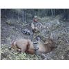 Image 2 : Idaho – Archery Elk Hunt for two (2) hunters (No on-line bidding)