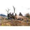 Image 5 : Idaho – Archery Elk Hunt for two (2) hunters (No on-line bidding)