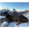 Image 5 : Alaska, Kodiak Island - Sitka Blacktail Deer Hunt for Two (2) Hunters
