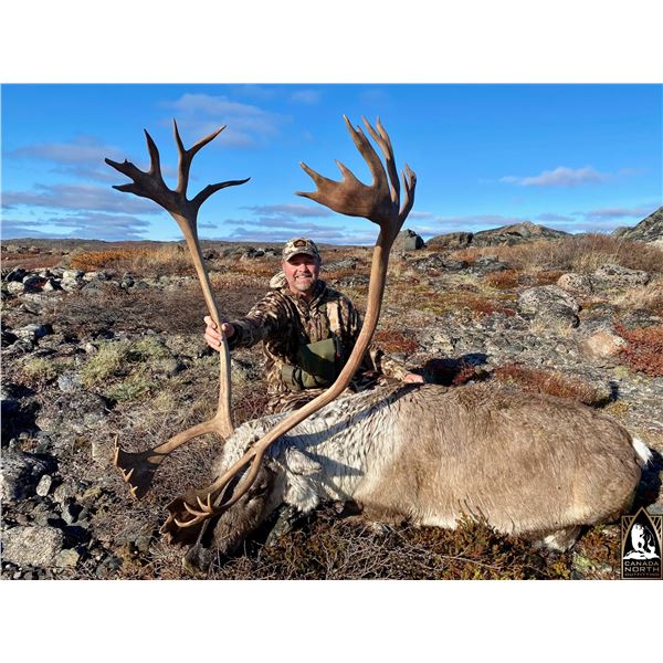 Canada - Central Barren Ground Caribou