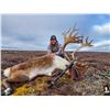 Image 3 : Canada - Central Barren Ground Caribou