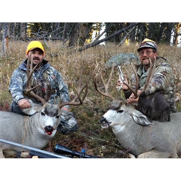 Wyoming - High Country Mule Deer