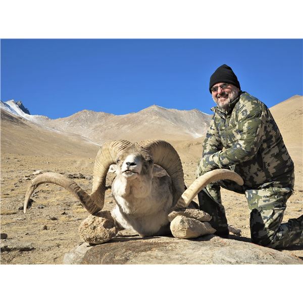 Tajikistan - Marco Polo Argali